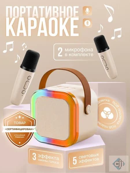 Беспроводная караоке-колонка с 2 микрофонами Bluetooth