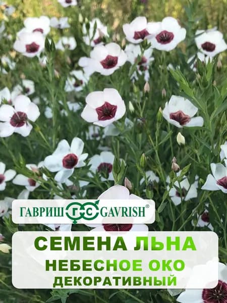 Семена Лен декоративный "Небесное око" 0,2 гр, однолетние цветы для дома и дачи, сада и огорода, в открытый грунт, семена льна, в ящик.