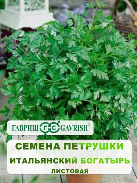 Семена Петрушки листовая "Итальянский богатырь" 2 гр.