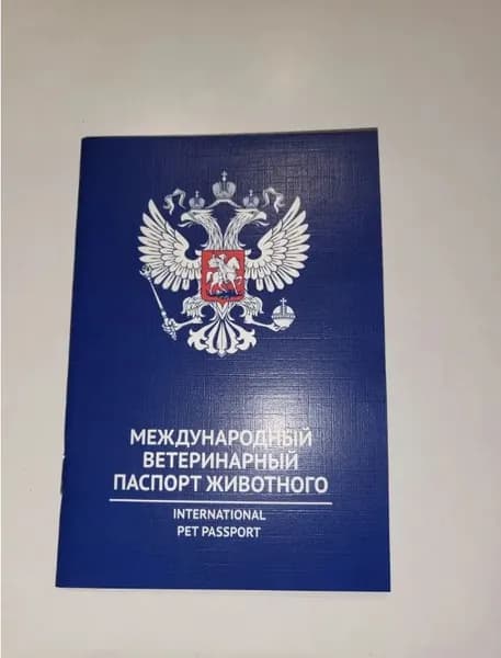 Паспорт ветеринарный международный для животных