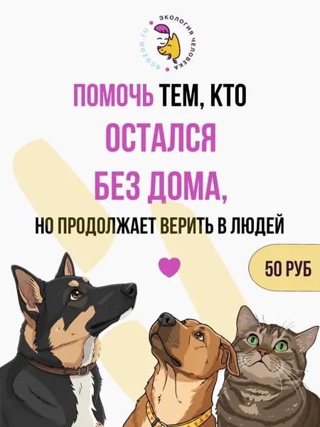 Благотворительный сертификат РОО "Экология человека"