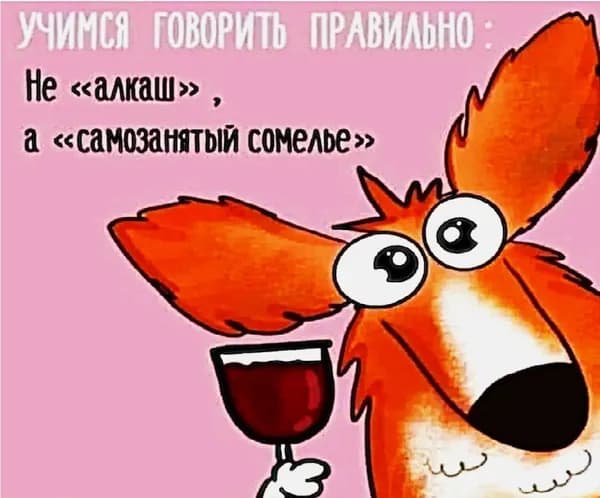 Постер МЕМ на стену 10х 8 см "Не алкаш, а самозанятый сомелье" клеющейся на стену, дверь ( на самоклеющейся основе)