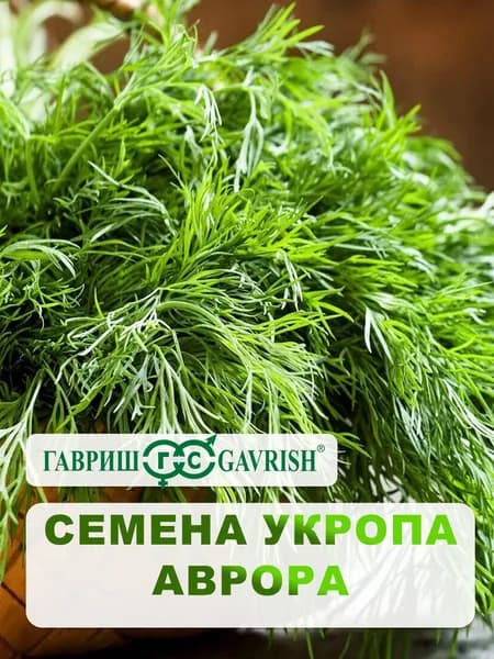 Семена Укропа "Аврора" 2 гр.