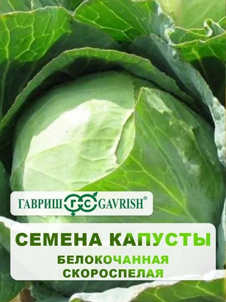 Семена Капуста белокочанная "Скороспелая" 0,5 г, для дачи, сада и огорода, в открытый грунт, для теплиц и парников, подходит для консервирования