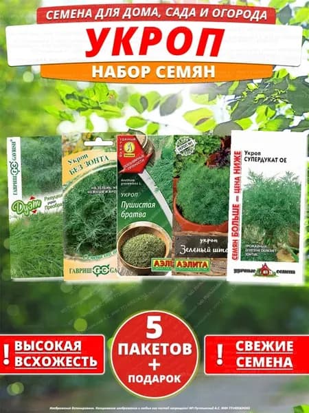 Семена укроп для дома сада посадки