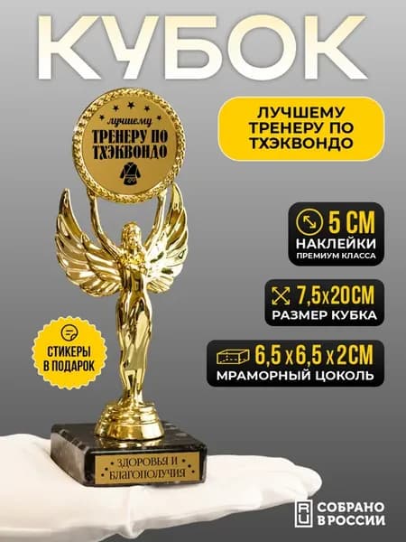 Кубок подарочный Лучшему тренеру по тхэквондо