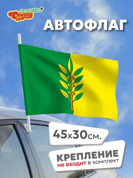 Флаг 45x30 Славгород (Алтайский край)