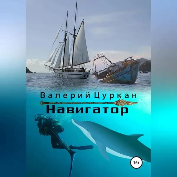 Навигатор | Цуркан Валерий | Электронная аудиокнига