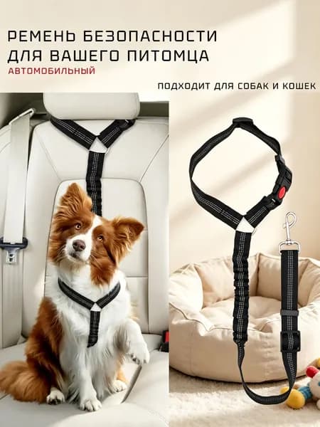 Ремень безопасности для животных