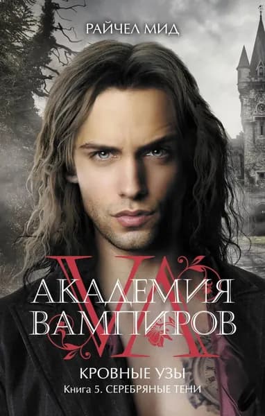 Серебряные тени | Мид Райчел | Электронная книга