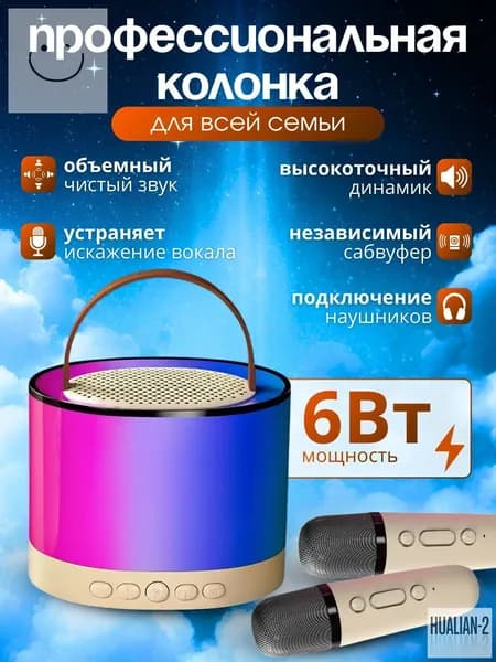 Караоке система, Микрофон караоке с портативной колонкой