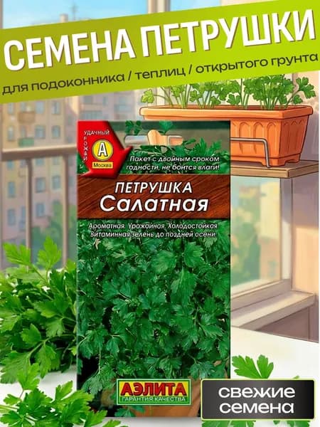 Семена петрушки для посадки листовая Салатная, зелень для подоконника / семена зелени для огорода