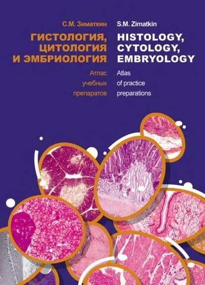 Гистология, цитология и эмбриология. Атлас учебных препаратов / Histology, Cytology, Embriology. Atlas of practice preparations | Зиматкин Сергей Михайлович | Электронная книга