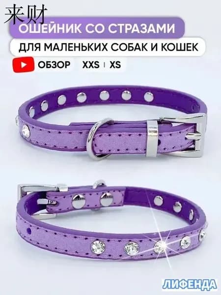 Фиолетовый ошейник со стразами для собак мелких пород и кошек, XXS / 17см - 22см