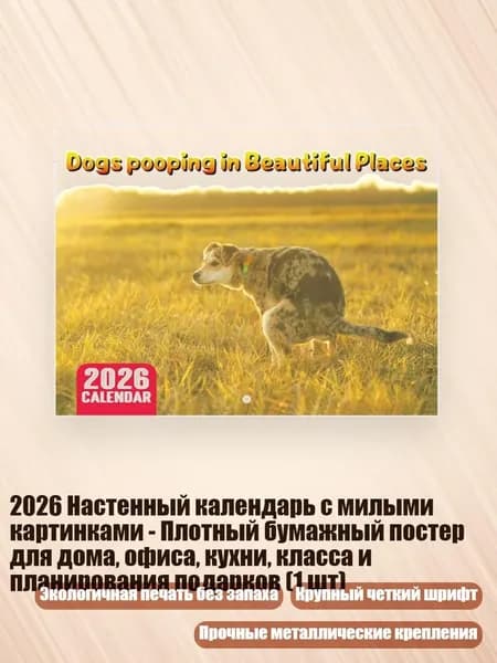 Дневник личный