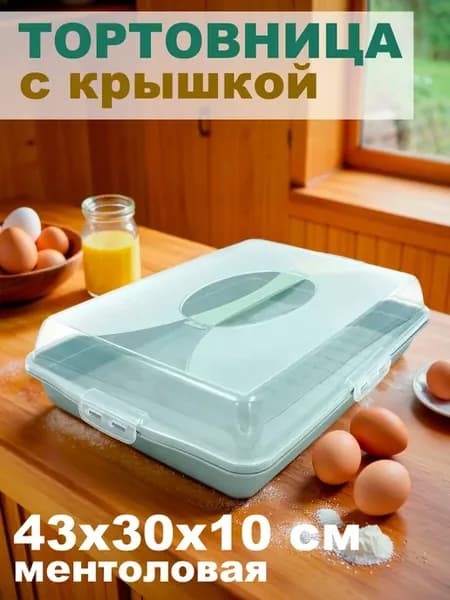 Тортница прямоугольная с крышкой пластиковая, ментол