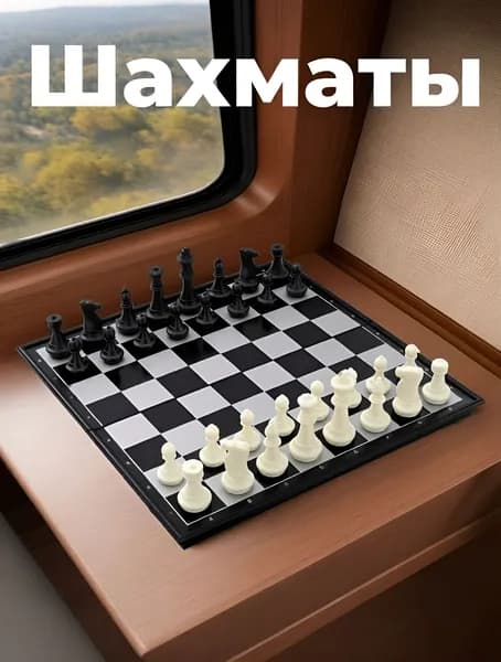 Магнитные шахматы