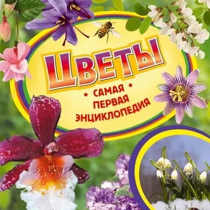 Цветы | Рысакова Ирина Владимировна | Электронная книга