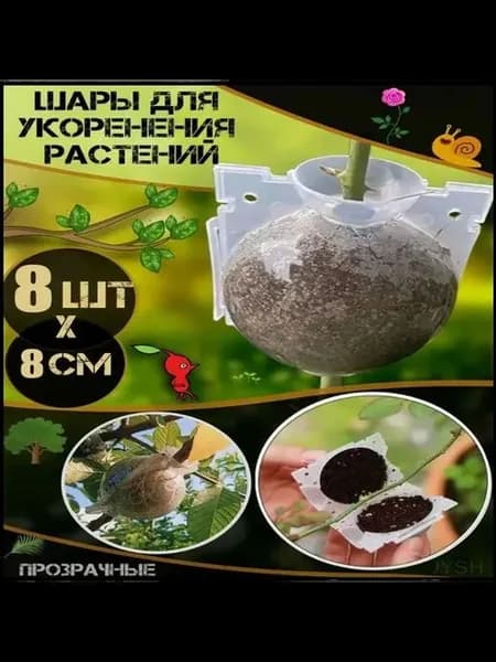 Набор из 8 прозрачных шаров для укоренения растений, 8 см