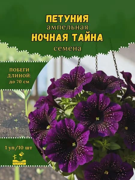 Петуния "Ночная Тайна" семена, 1 пачка