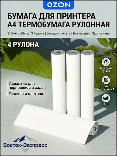 Бумага для принтера A4, 100 лист., шт