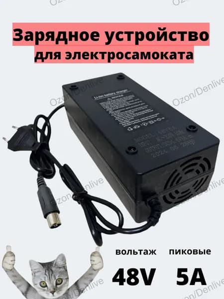 Зарядное устройство 48v -5A для электросамоката Kugoo V4 PRO , разъем RCA