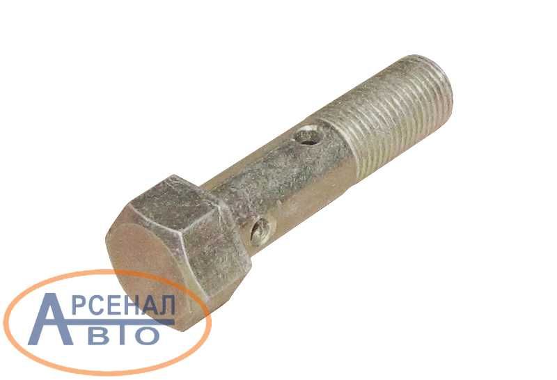 Болт МАЗ, Ямз трубок низкого давления м10*40*1 310239-п29