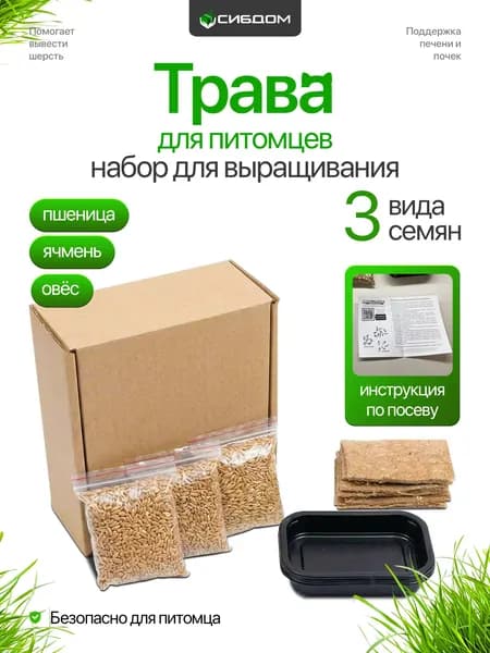 Трава для кошек. Лакомство для питомцев. Набор для выращивания травы.