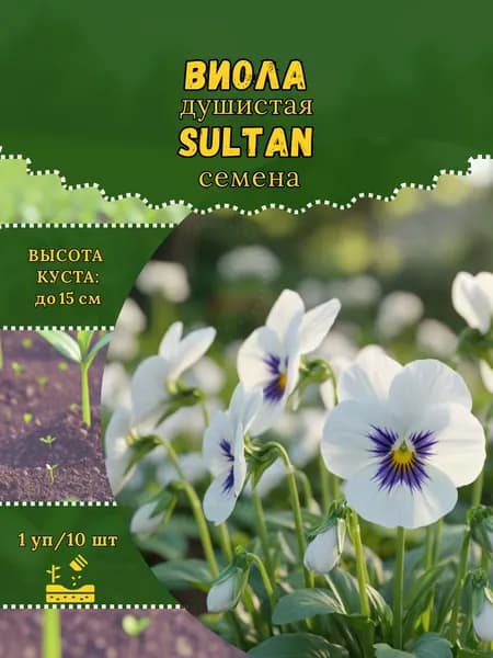 Виола душистая "Sultan" семена, 1 пачка