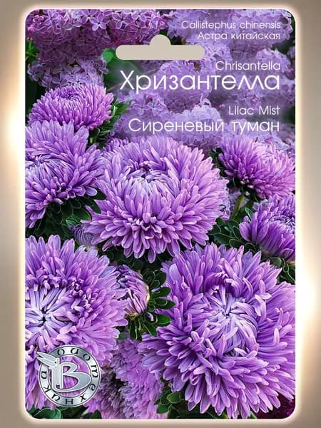 Астра китайская Хризантелла Сиреневый туман (семена БИОТЕХНИКА, 30 шт.)
