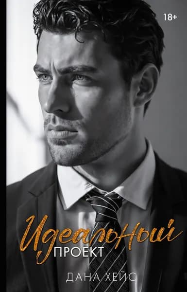Книга Идеальный проект