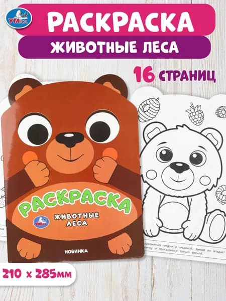 Раскраска для детей Животные леса, 16 страниц, Умка
