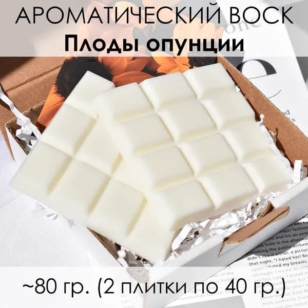 LORIEN STUDIO Ароматический воск "Плоды опунции" 80 гр. для аромалампы