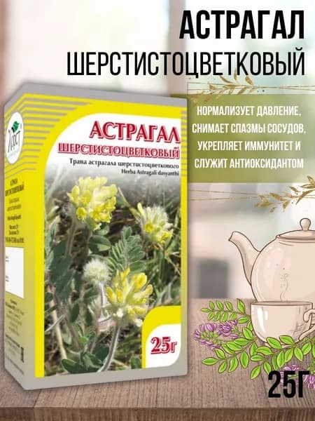 Астрагал шерстистоцветковый. трава 25 гр (Хорст)