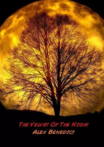The Velvet Of The Night | Benedict Alex | Электронная книга