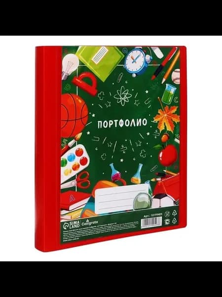 Портфолио для школьника на 4 кольцах