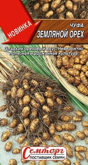 ЧУФА ЗЕМЛЯНОЙ ОРЕХ. Семена. Сыть съедобная, зимовник, земляной миндаль