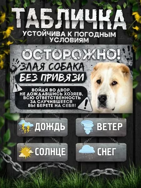 Табличка, на забор, DANGER DOG, Осторожно! Во дворе собака без привязи, Алабай, 20x30 см