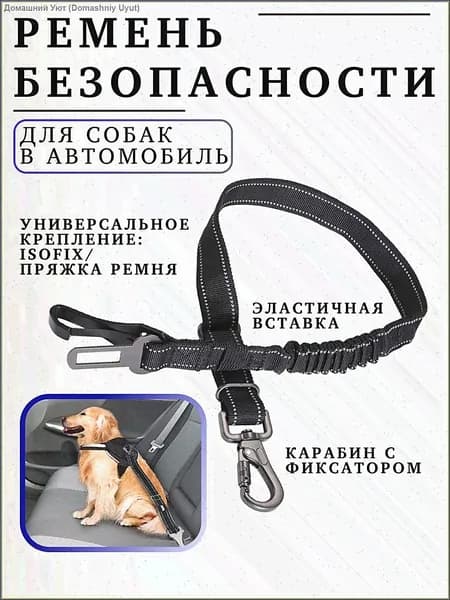 Ремень безопасности для собак