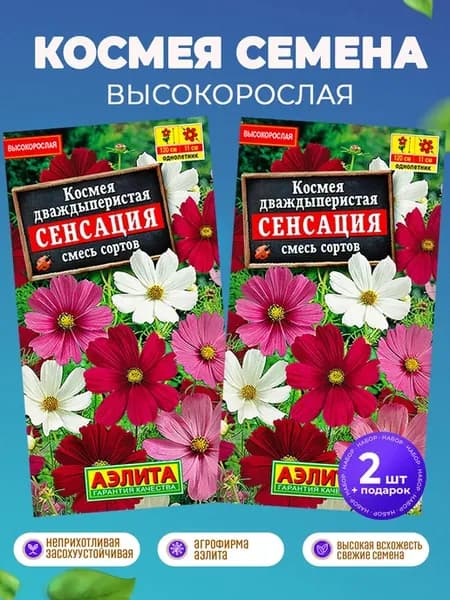 Космея высокорослая семена