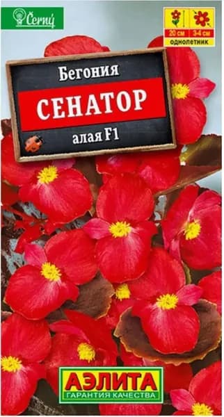 Бегония "Сенатор алая F1" семена цветов Аэлита для балкона и огорода, 10 шт