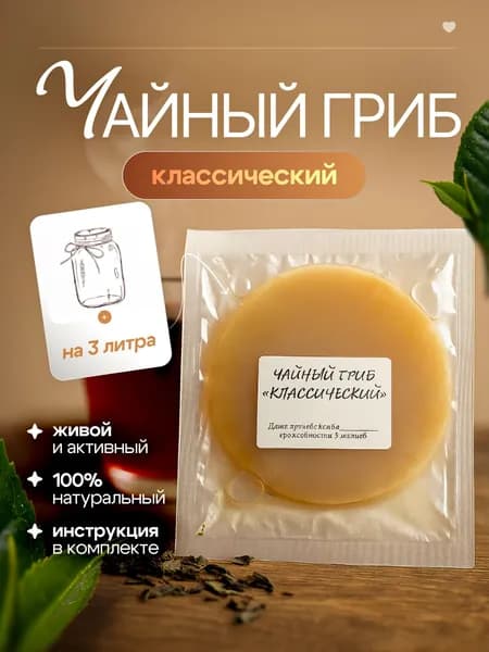 Чайный гриб живой для выращивания, комбуча, закваски напитка