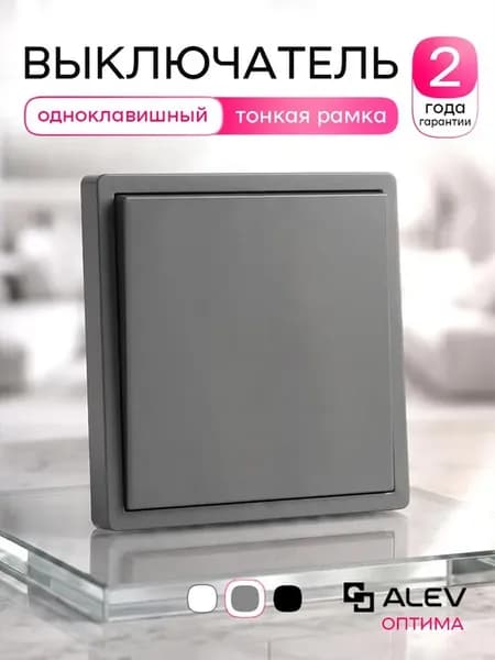 Выключатель одноклавишный внутренний с рамкой серый