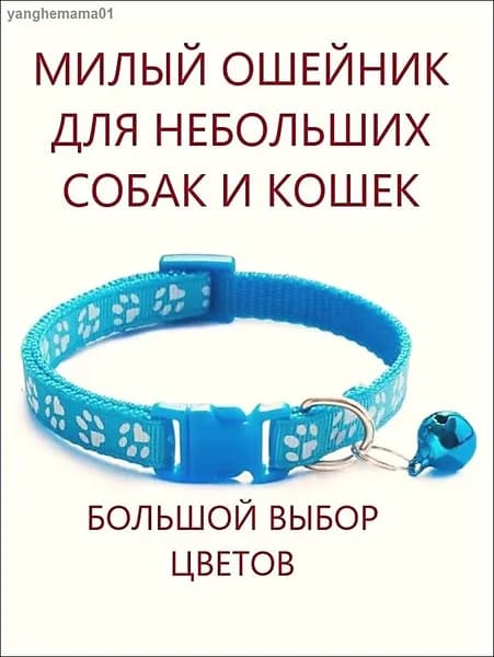 Ошейник