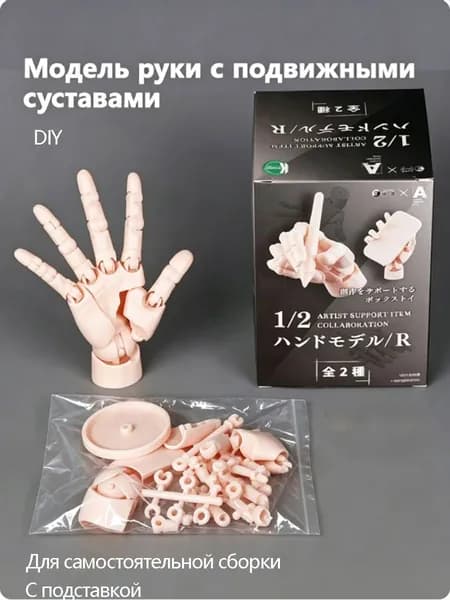 Модель руки с подвижными суставами в масштабе 1:2 на подставке, предназначенная для рисования, скульптуры и фотографии