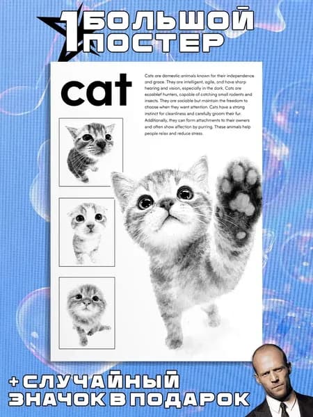 Постеры А3 Котики