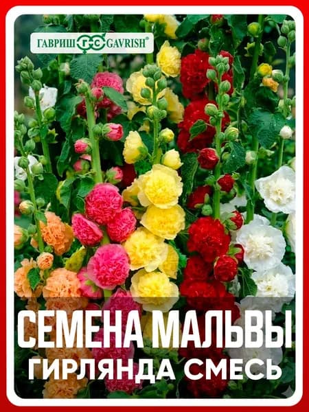 Семена Мальва "Гирлянда смесь" 0,2 гр, двулетние цветы для дома и дачи, сада и огорода, клумбы, цветы из семян, в открытый грунт, в ящик.
