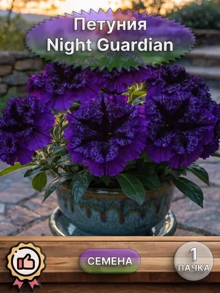 Петуния Night Guardian, семена 10 шт