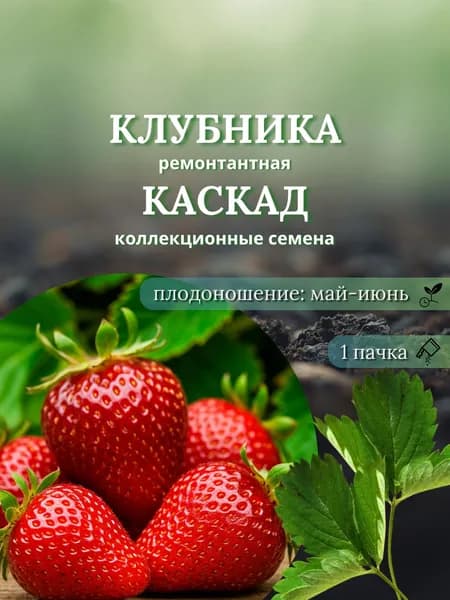 Клубника (ремонтантная) Каскад, семена 10 шт.