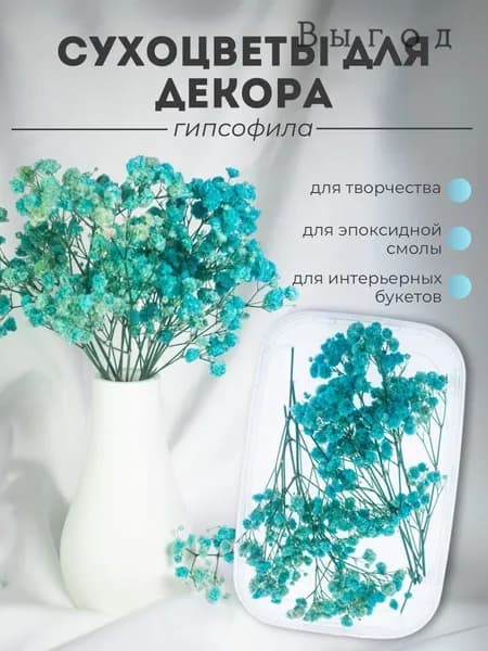 Сухоцветы Гипсофила, 1 шт